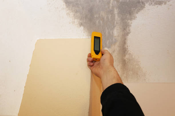 Best Forensic Mold Investigation  in North St Paul, MN