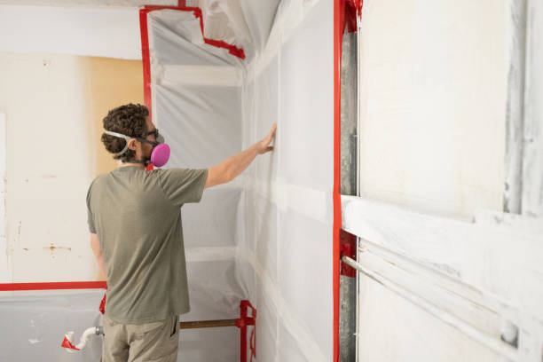 Best Water Damage & Mold Remediation  in North St Paul, MN
