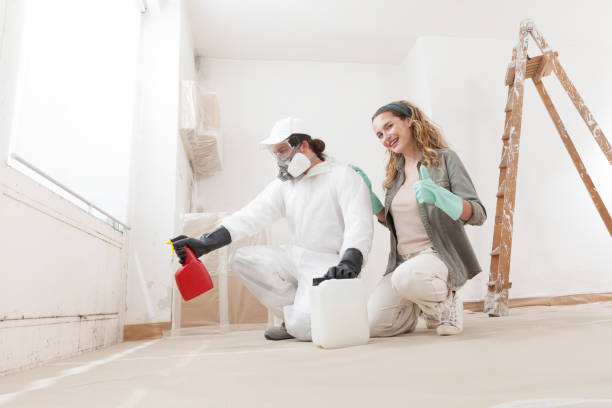 Best Emergency Mold Remediation  in North St Paul, MN